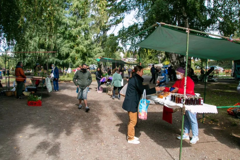 Agricultores de la Feria Franca continúan buscando un espacio techado   