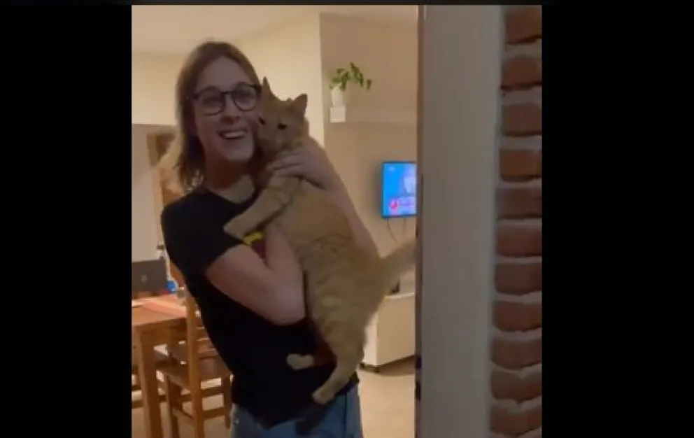 VIDEO: el gato que ayuda a su dueña a entrar a la casa 