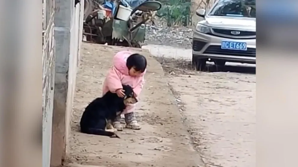 VIDEO: el tierno gesto de una nena con un perro asustado por fuegos artificiales