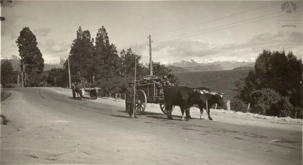 Al tranco de los bueyes