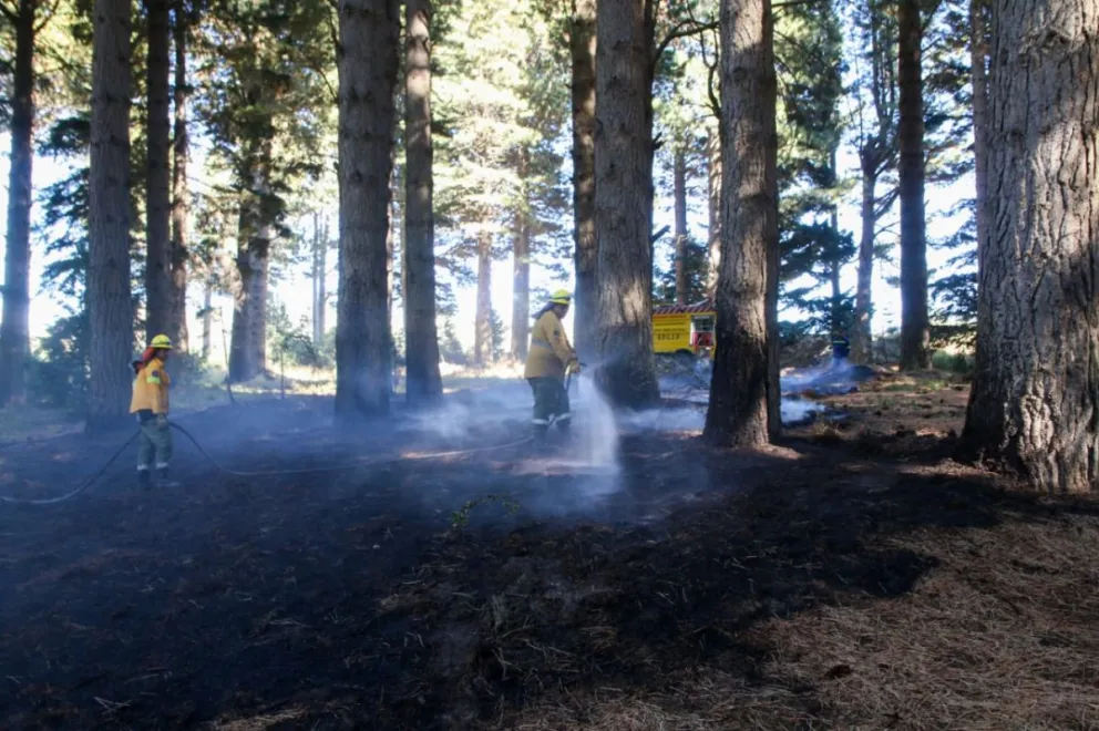 Controlan un principio de incendio forestal cerca de las canchas de ADEFUL