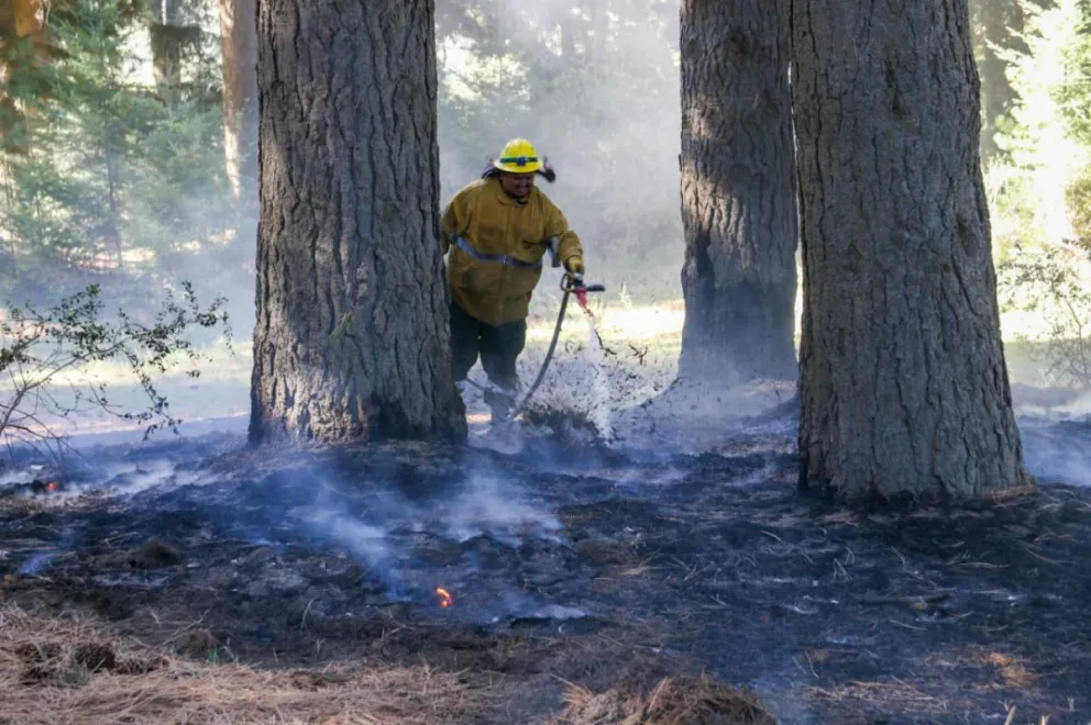 Lanzan sitio web que informa la probabilidad de incendios en tiempo real 