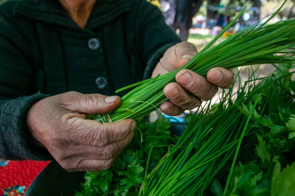 Fortalecer el acompañamiento a los productores . Foto archivo: Facundo Pardo.