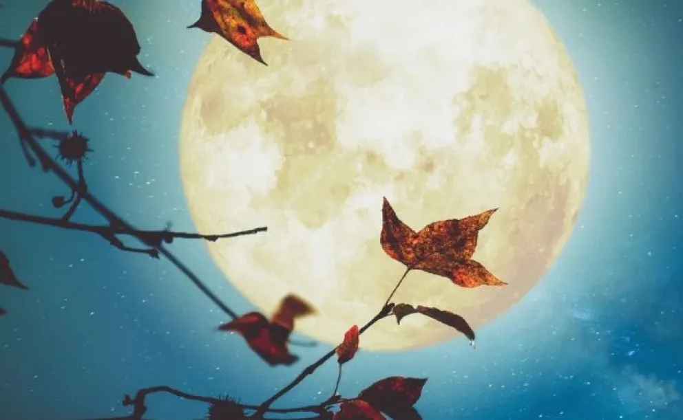 Luna llena en Virgo: cuándo es y cómo influenciará a cada signo del zodiaco
