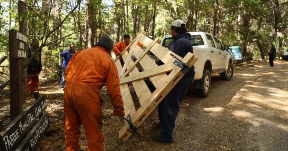 Talaron árboles e instalaron una tranquera para apropiarse de 9 hectáreas en Llao Llao