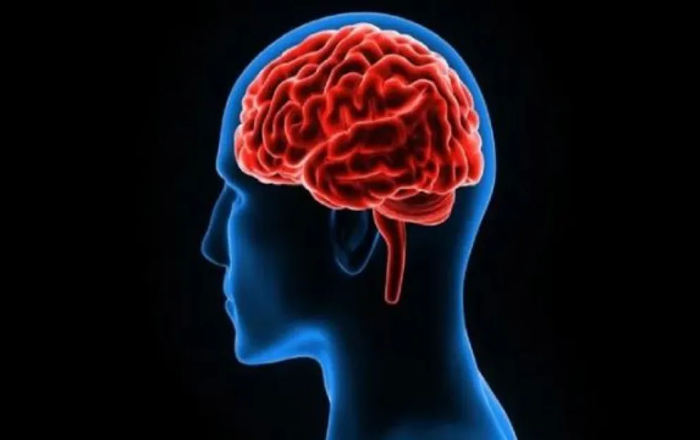 Cuál es la actividad que nos resistimos a hacer pero que podría salvar nuestro cerebro