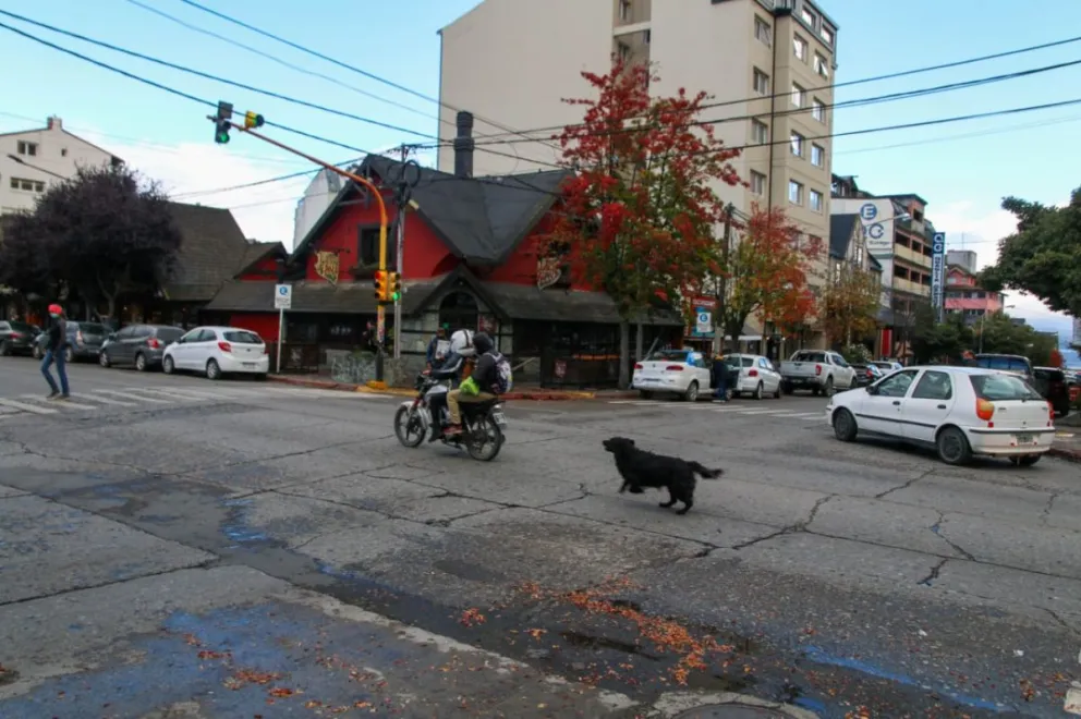 Son vecinos pero se cruzaron en el centro y terminaron a las piñas 
