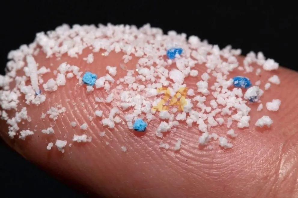 Encontraron microplásticos por primera vez en la sangre humana