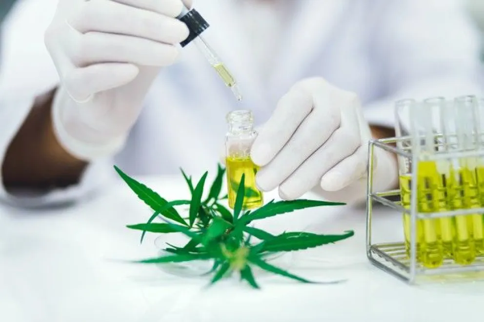 Fue inaugurado el primer laboratorio especializado en certificación de cannabis de Argentina 