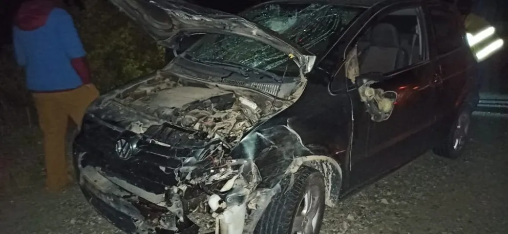 Un automóvil chocó de frente contra un ciervo de gran tamaño