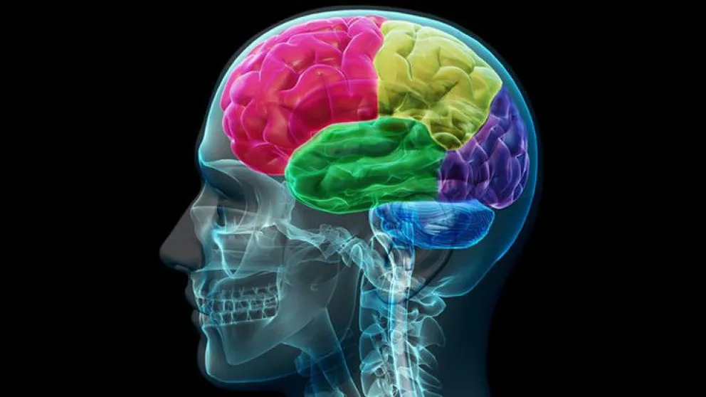 Qué sucede en nuestro cerebro cuando vemos una cara conocida