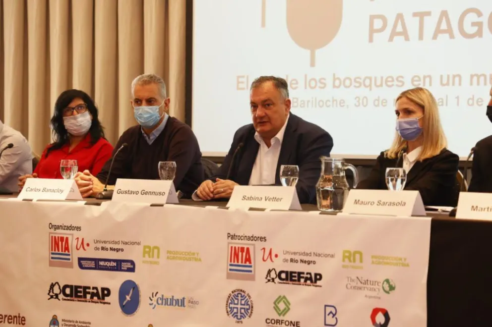 Gennuso: “El tema forestal es clave porque es pensar a treinta, cuarenta, cincuenta años”