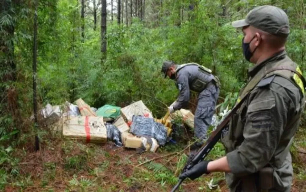 Misiones: encontraron más de tres toneladas de marihuana escondidas en un monte