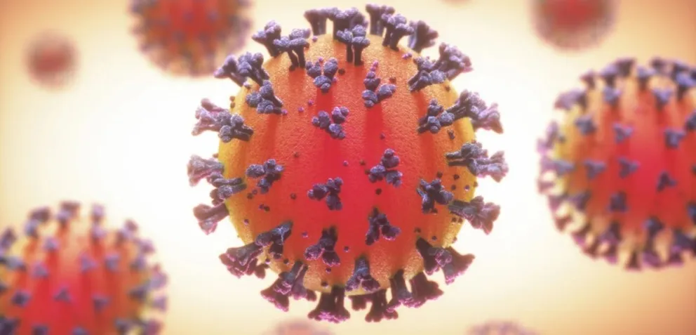Coronavirus en Argentina: se registraron 453 nuevos casos  y un fallecimiento