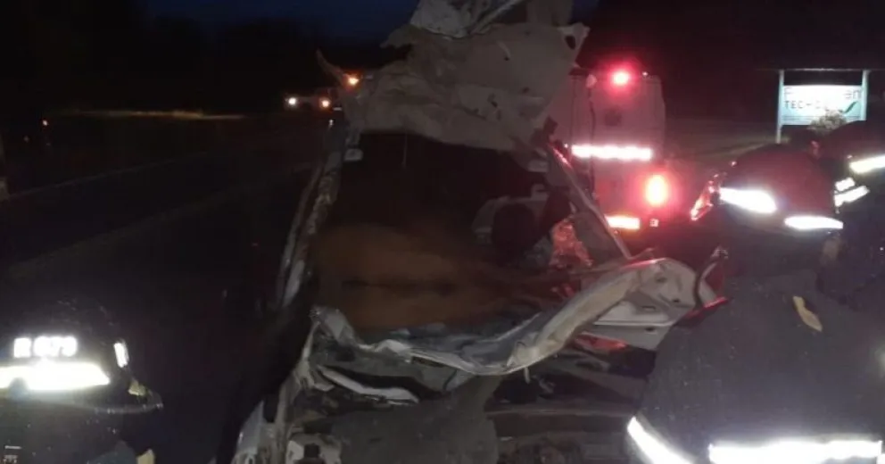 Chocó contra un caballo que terminó dentro de su camioneta