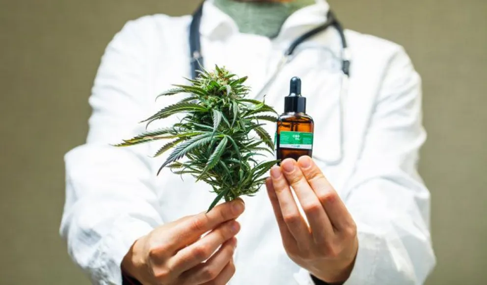 El Ministerio de Salud creó una nueva categoría de productos cannábicos: de qué se trata