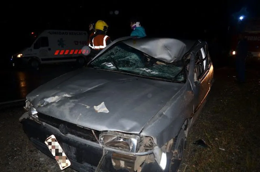 Otro caballo suelto provocó un nuevo accidente en Ruta 40
