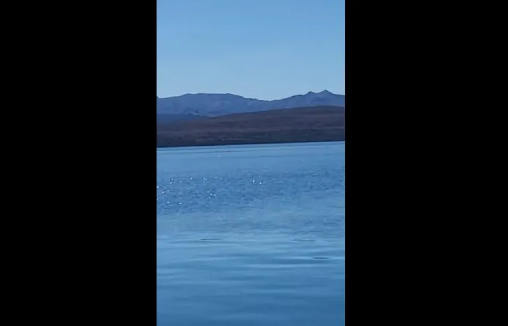 Navegaban y creen haber visto al “Nahuelito”