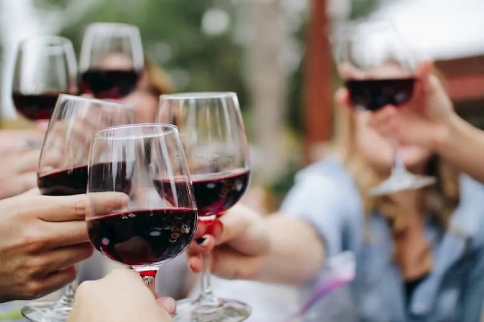 Día Mundial del Malbec: ¿qué hecho dio origen a esta celebración?