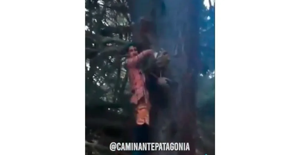 ¿Un duende por Virgen de las Nieves? Mirá el increíble video