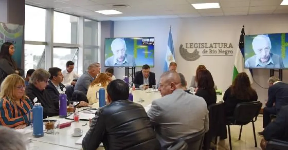 La plenaria avaló las iniciativas del Gobierno provincial para producir hidrógeno verde en Río Negro