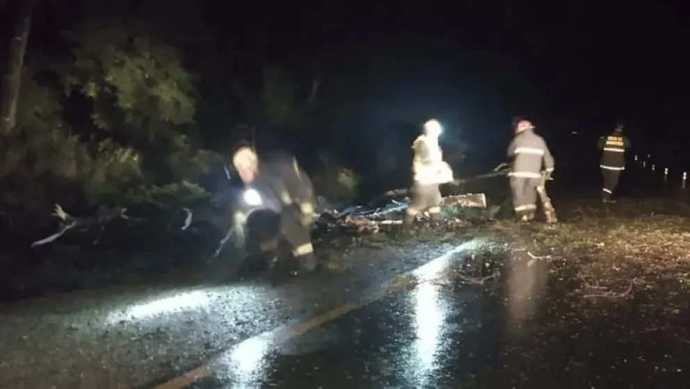 Problemas en distintas localidades por fuerte temporal