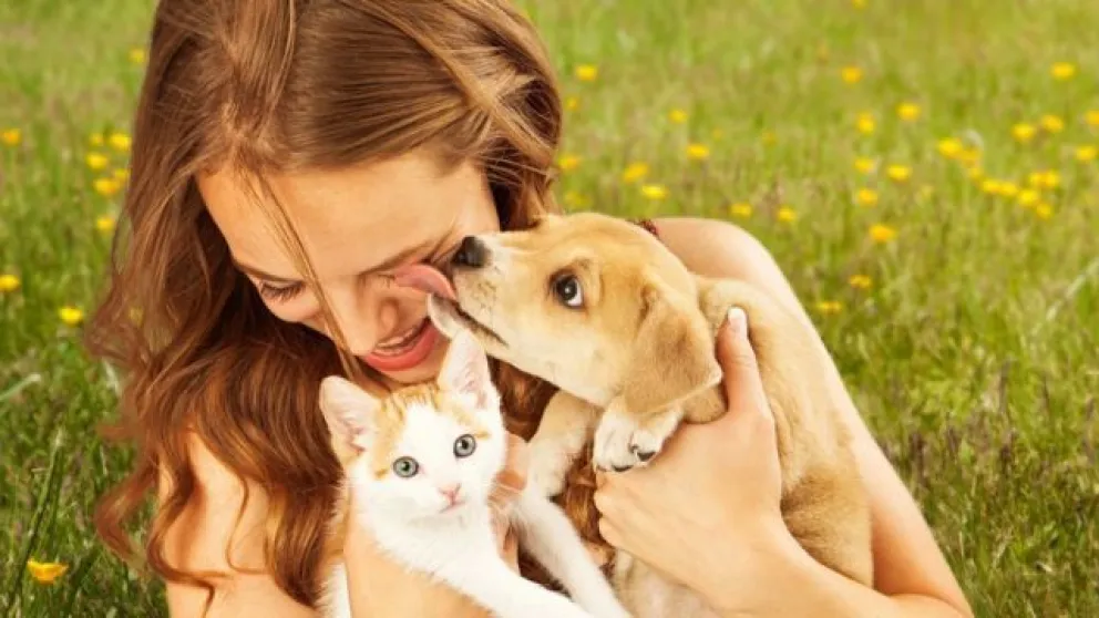 Mascotas: estos son los errores más comunes que cometemos con nuestros peludos todos los días 