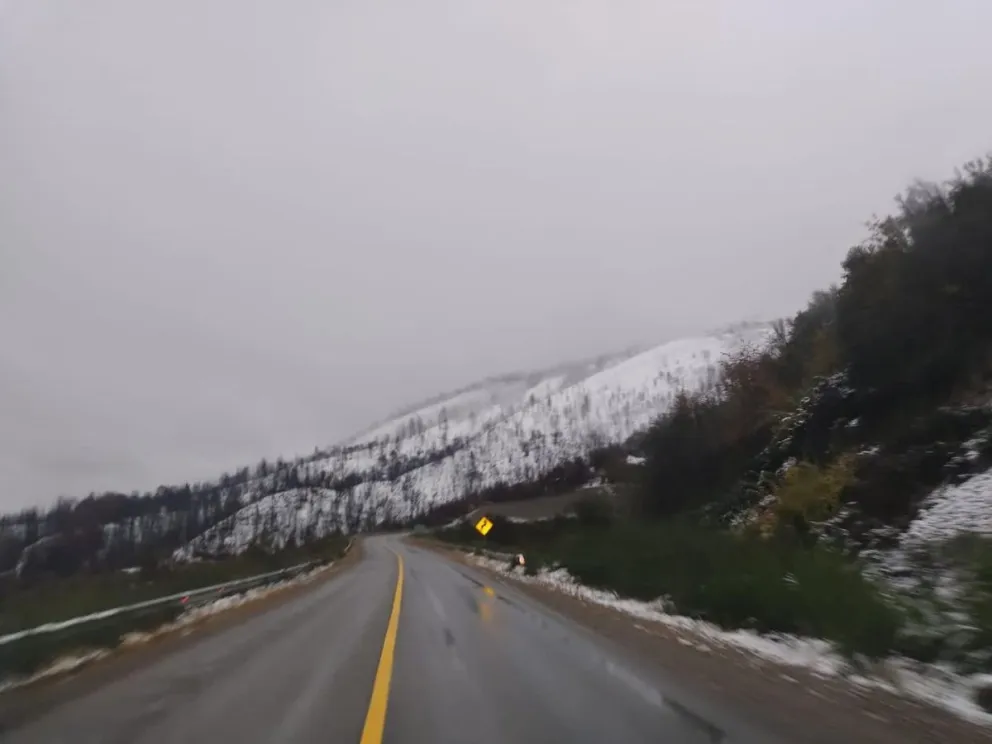 Precaución por nevadas y posteriores heladas en ruta 40 tramo Bariloche-El Bolsón