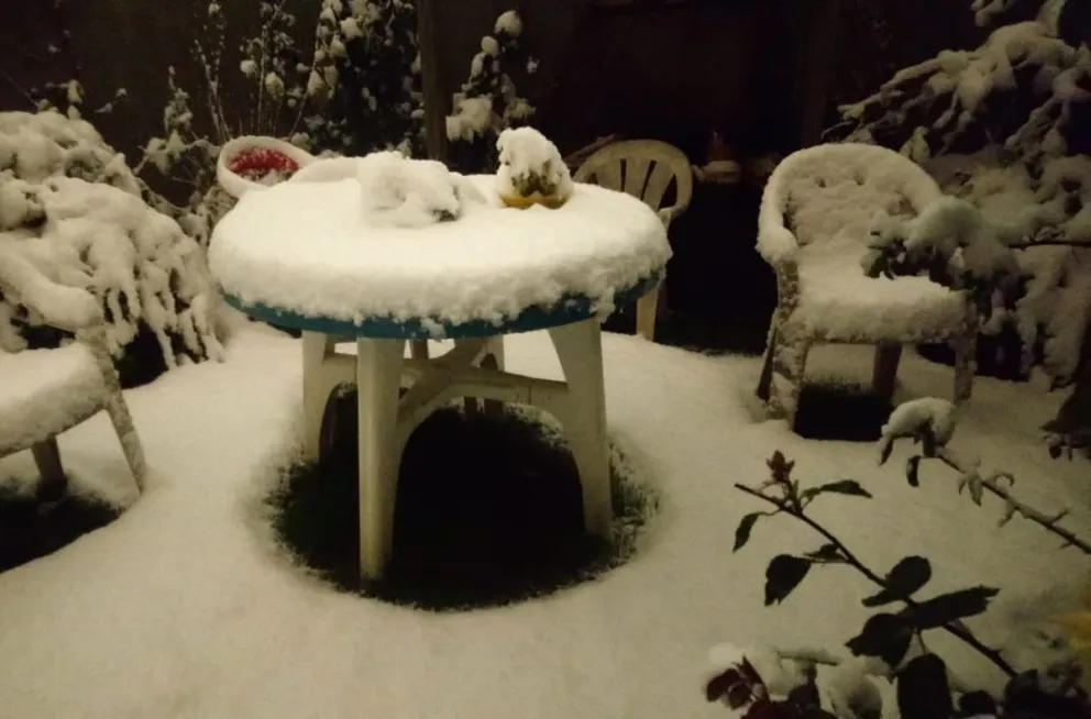 Mirá las fotos de la nevada en los distintos barrios de la ciudad 