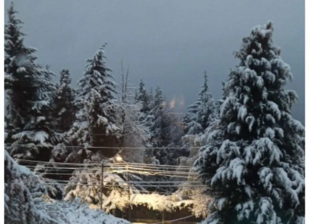 La nieve ocasionó cortes en el servicio de energía eléctrica en distintos barrios de la ciudad