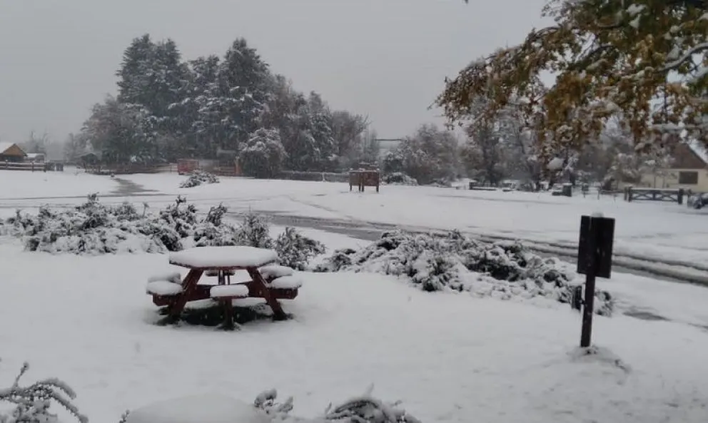 Así nevó en las zonas de Ñirihuau, Challhuaco y Tronador