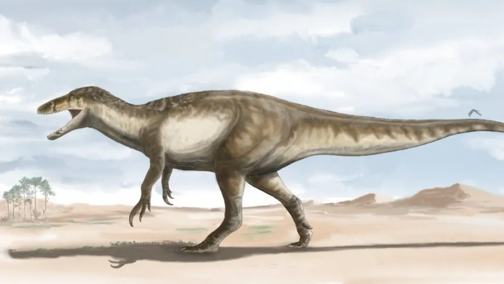Hallan los restos del dinosaurio megaraptórido más grande conocido hasta ahora