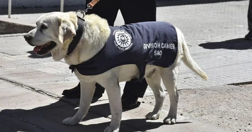 Último adiós a Gringo, el primer perro detector de estupefacientes