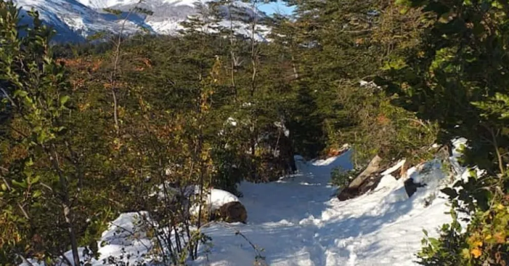 Cerraron senderos por acumulación de nieve