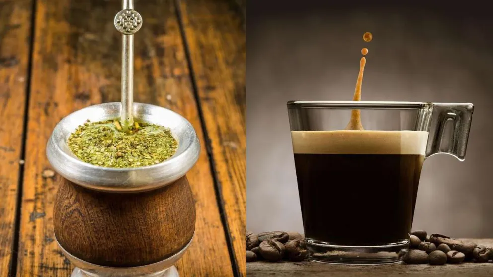 ¿Mate o café?: Enterate cuál de los dos te ayuda más a concentrarte
