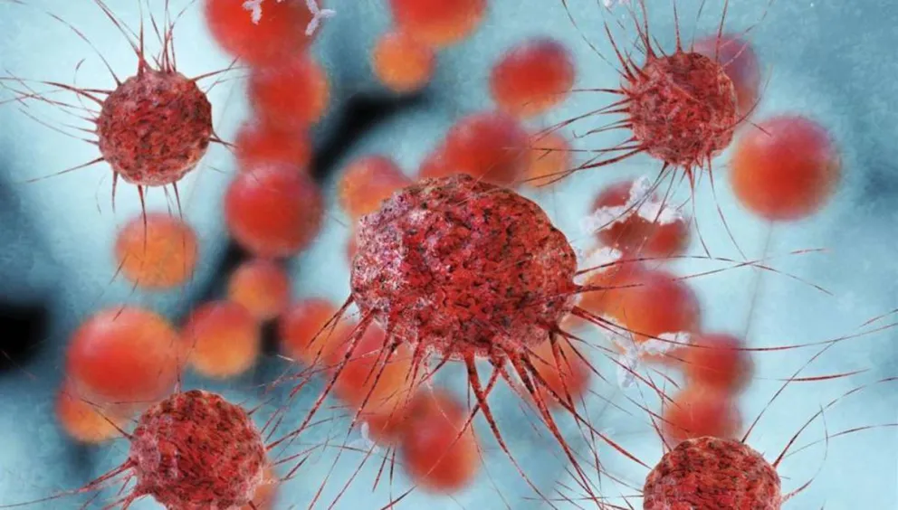 Hallan el primer anticuerpo que podría atacar las células madre del cáncer