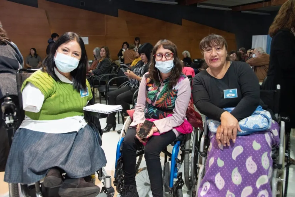 Nueva Ley de Discapacidad: Se realizó la audiencia pública para la región patagónica