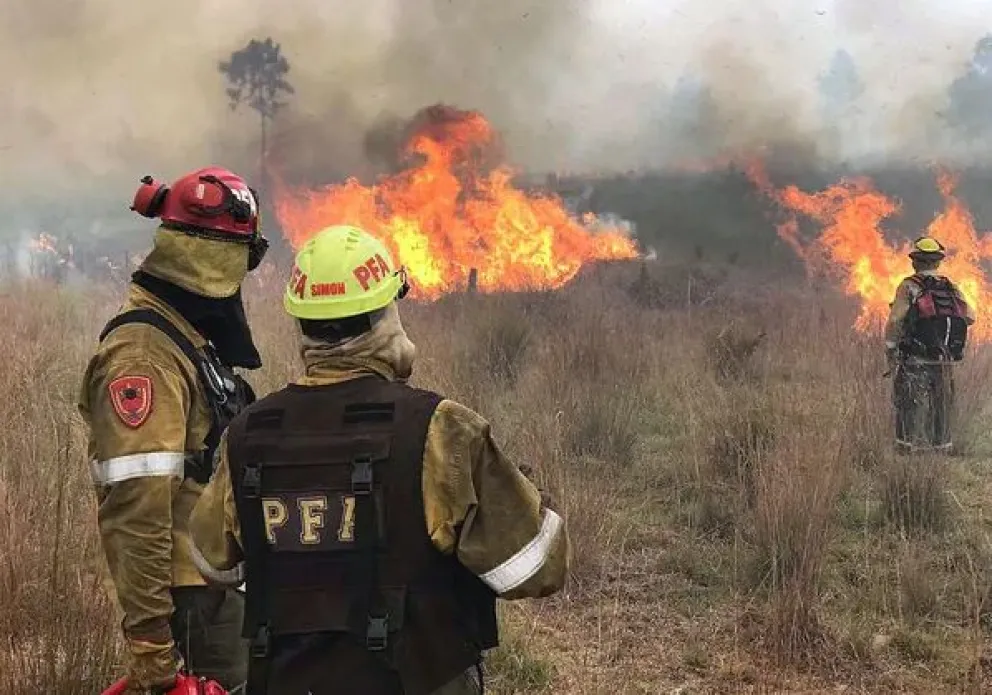 Día Internacional del Bombero Forestal: por qué se celebra hoy 4 de mayo  