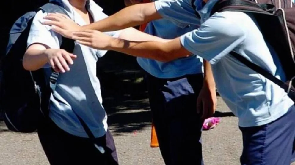 Cambió a su hijo de escuela porque otro menor lo golpeó y amenazó con un cuchillo al resto de los chicos