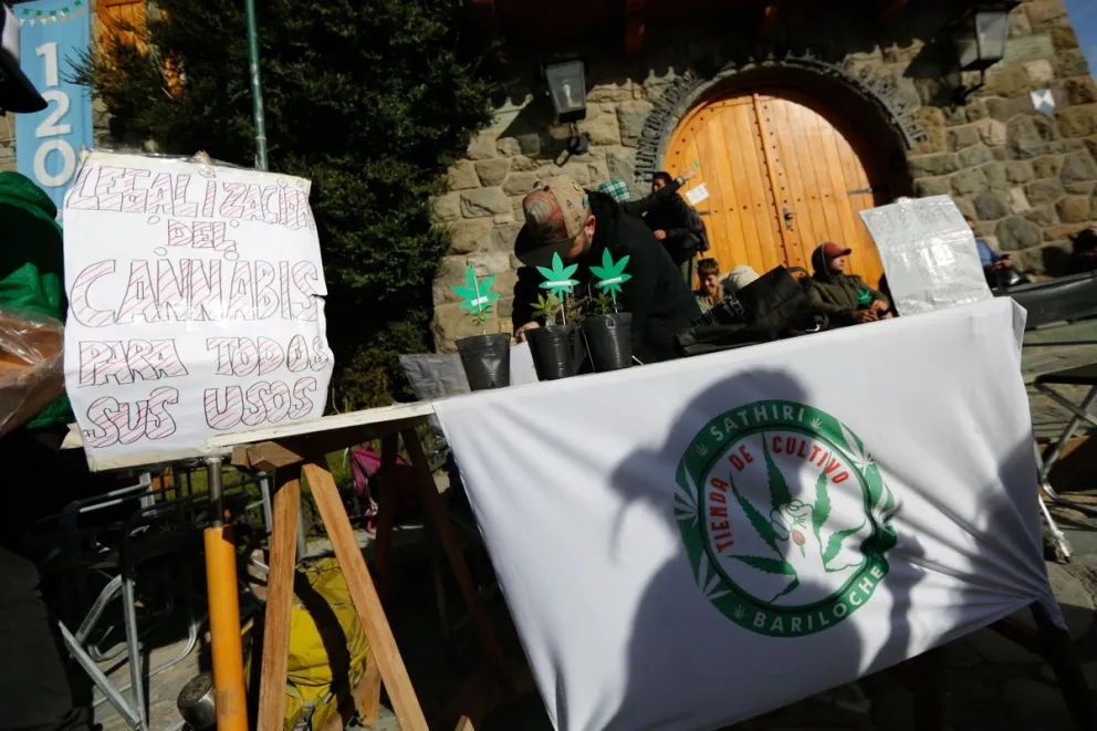 Bariloche se sumó a la Marcha Mundial de la Marihuana