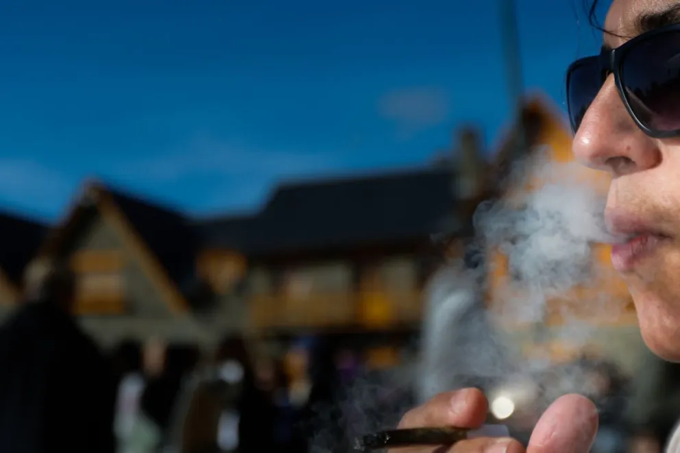 “Pedimos las mismas oportunidades a todos los actores de la comunidad del cannabis”